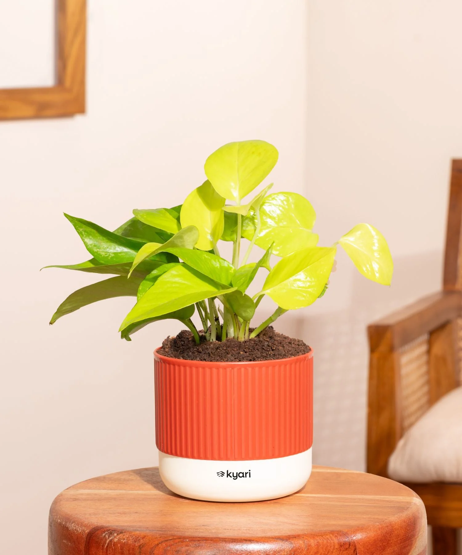 Product image 92