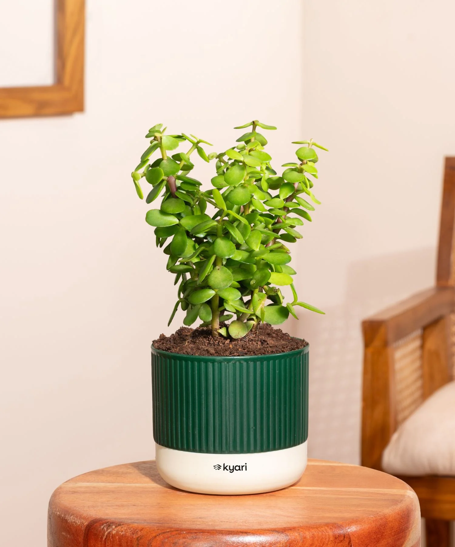 Product image 170