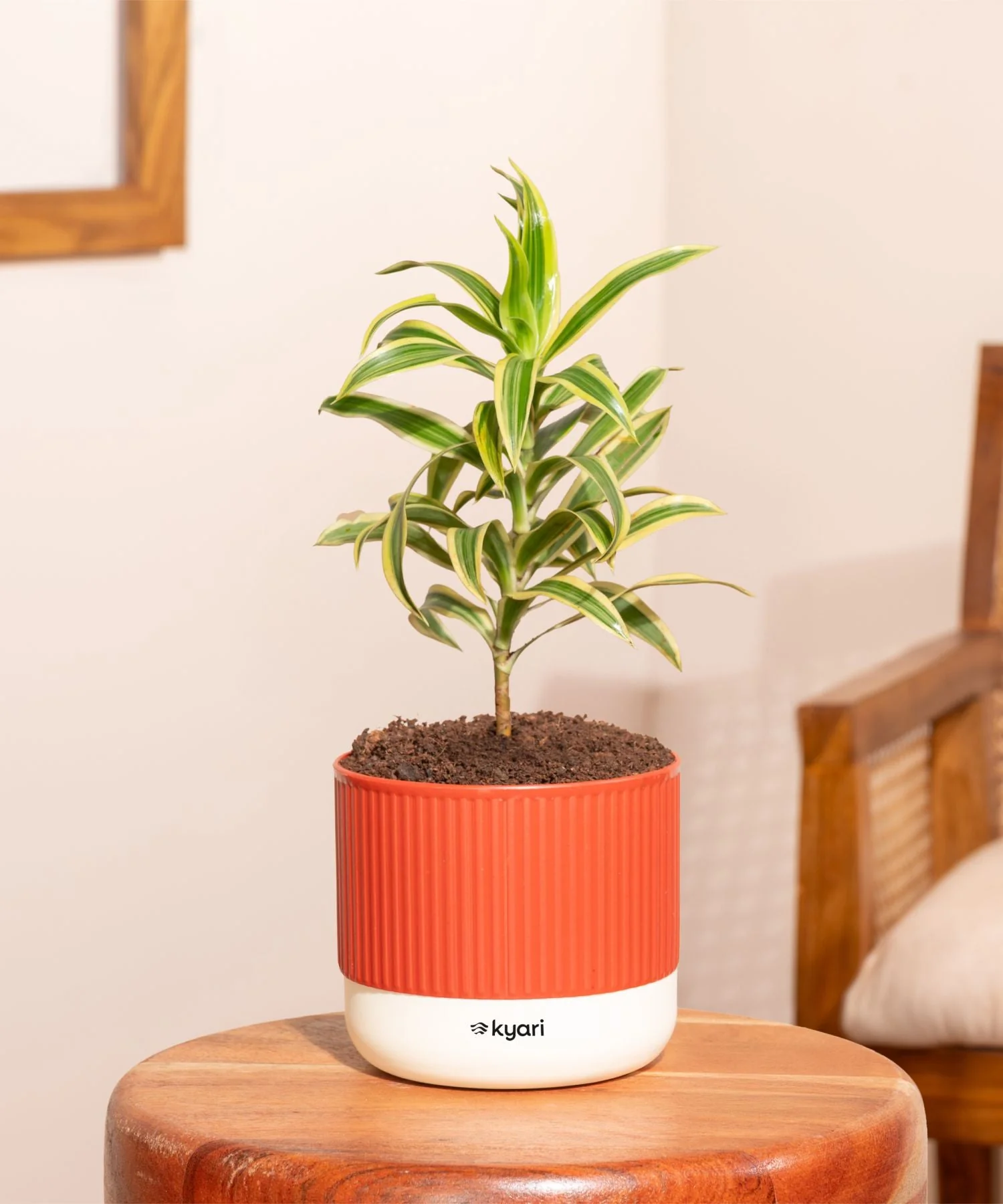 Product image 45